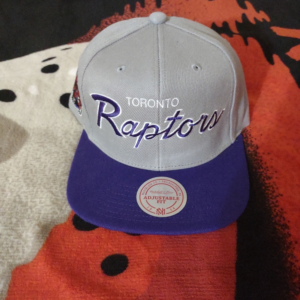Toronto Raptors snapback cap